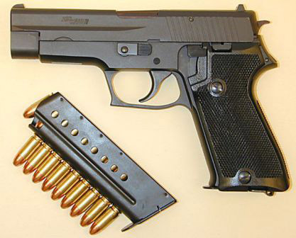 С 1990 года стандартным пистолетом швейцарской гвардии стал Sig P220