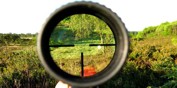 У прифронтових зонах Запорізької області сезон полювання не відкриють