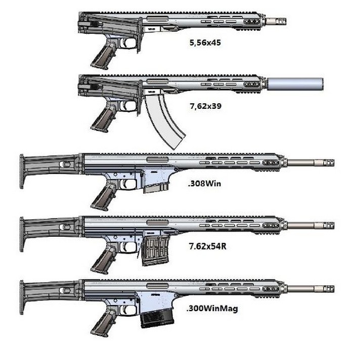 Konev Modular Rifle