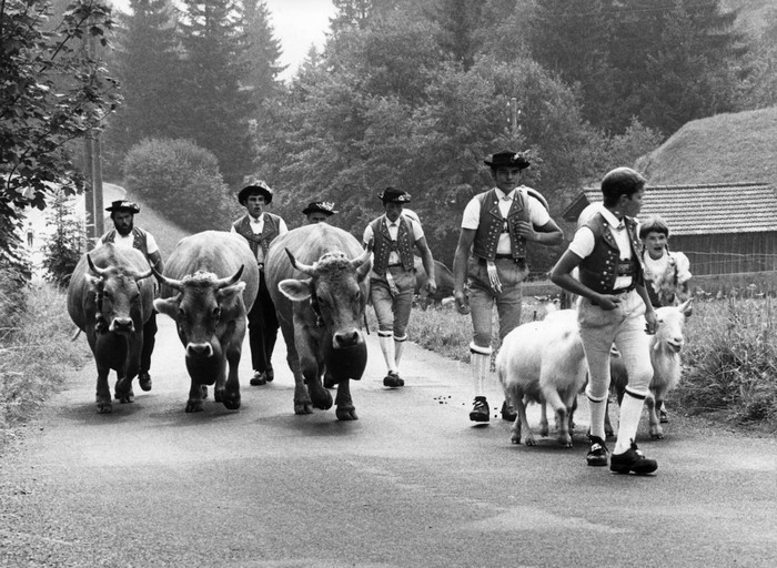 Альпийские пастухи в г. Тоггенбург.