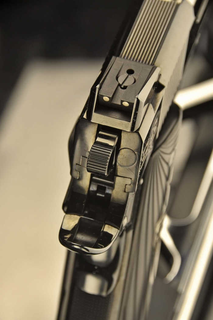 Зазвичай всі пістолети компанії оснащуються прицільними пристосуваннями Novak Sights.