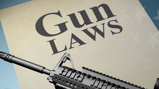 Control law. Outlaw Gun. Вирджиния Ганс. Law Control. More Gun.