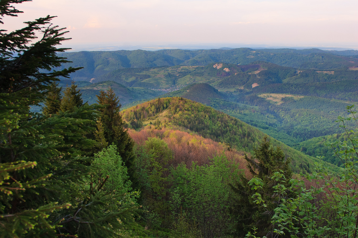Вид з гори Лопата (світлина з сайту http://www.flickriver.com)