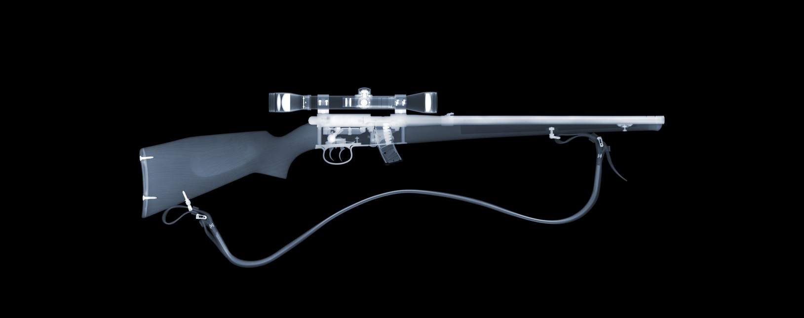 Anschutz rifle