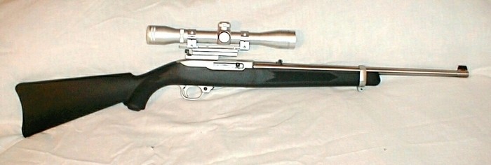 The Ruger 10