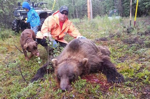 Мешканець Аляски застрелив ведмедя грізлі з пістолета калібру .45