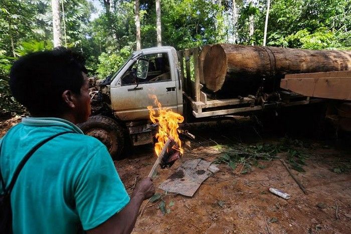 Индейцы Амазонии открыли охоту на браконьеров