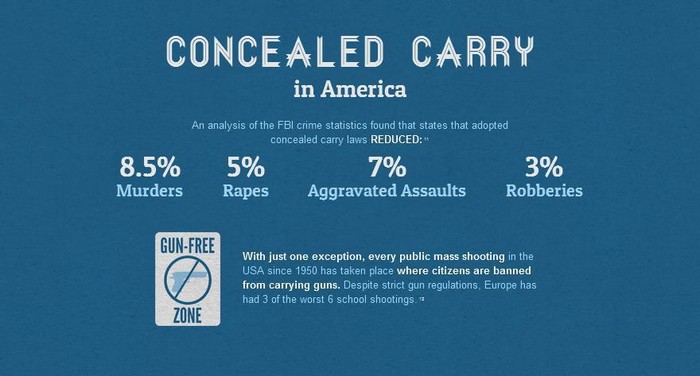 A factual look at guns in America