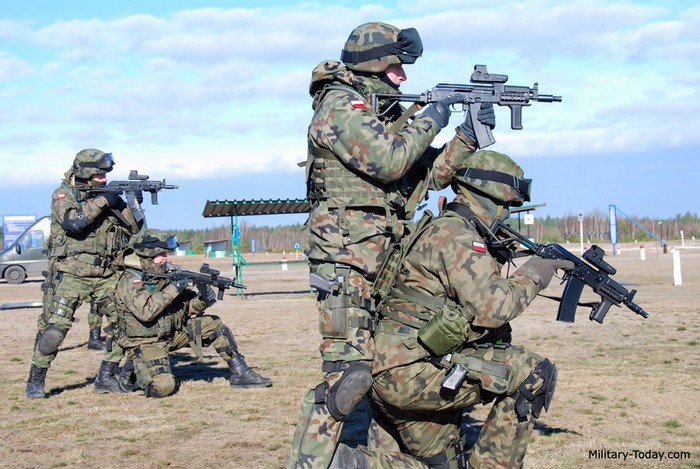 Польські штурмові гвинтівки Beryl та Mini Beryl успішно витісняють АК