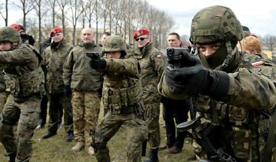 Територіальна оборона Польщі