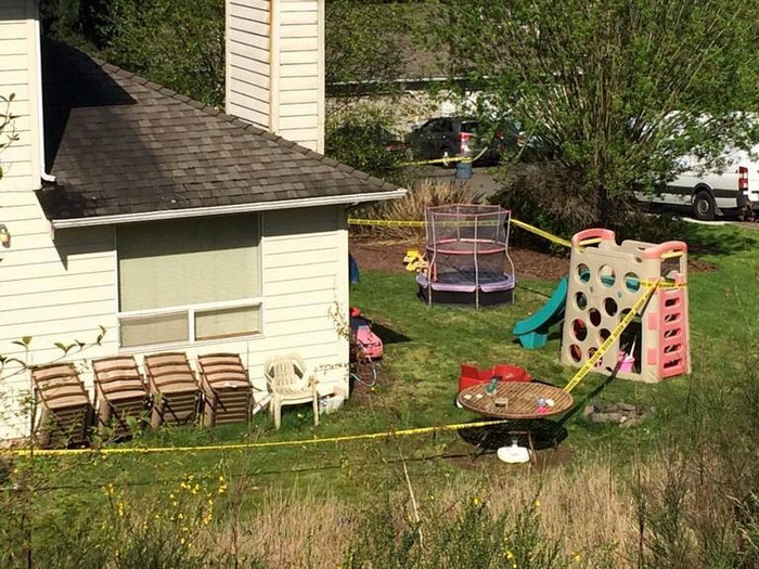 Homeowner kills intruder in Browns Point