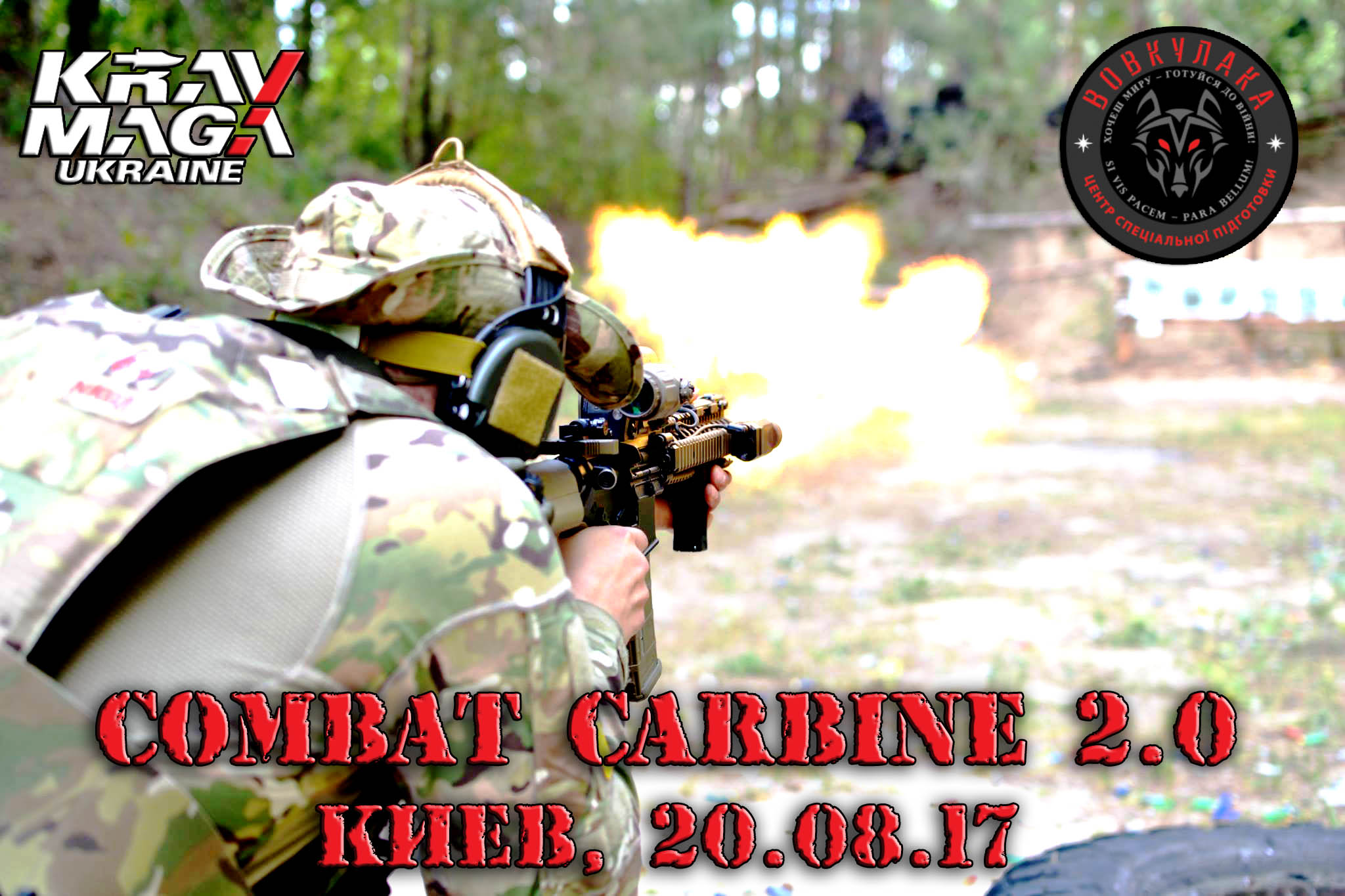 Combat Carbine 2