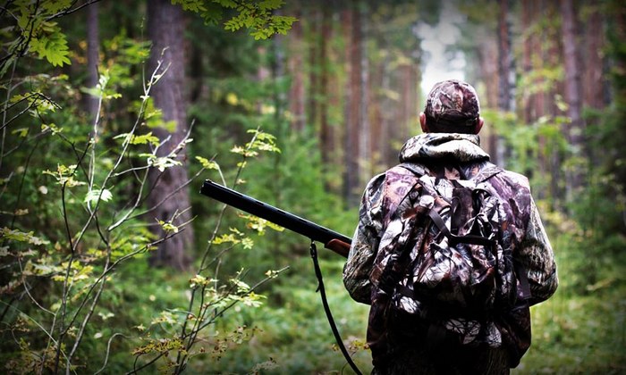 У Запорізькій області через військовий стан закривають сезон полювання