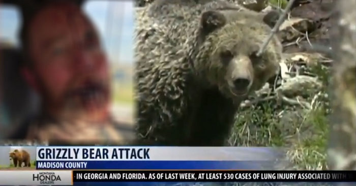На мисливця напав ведмідь.