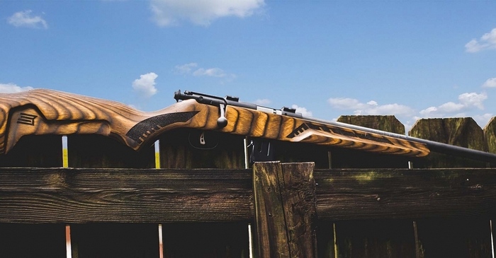 Savage Arms Minimalist: лінійка мінімалістичних гвинтівок для початківців