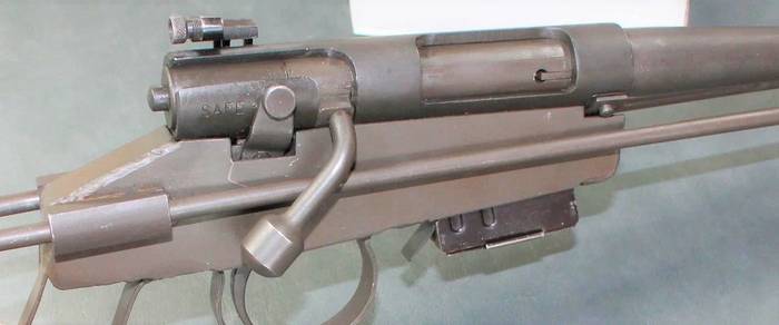 M4 Survival Rifle