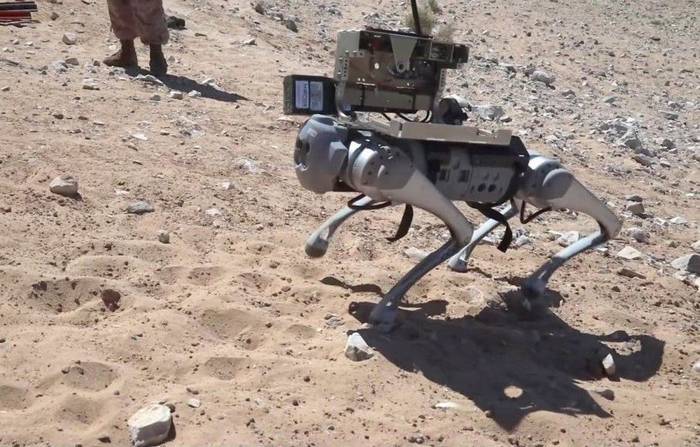 Морські піхотинці США встановили РПГ на робота-собаку
