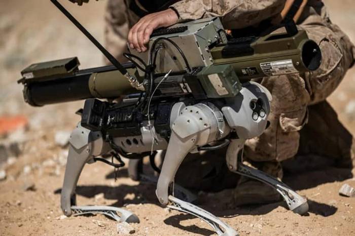 Морські піхотинці США встановили РПГ на робота-собаку