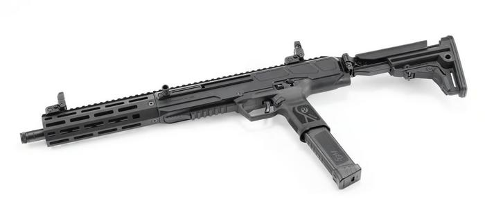 Ruger LC Carbine