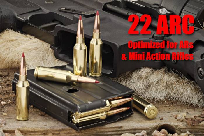 Набої 22 ARC