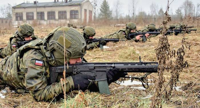 Польща попри наявність територіальної оборони працює саме над загальним резервом (всі фото: Wojska Obrony Terytorialnej)