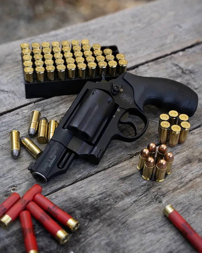 Smith & Wesson Governor