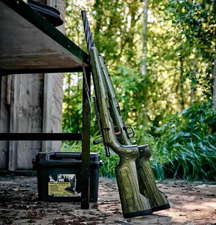 Гвинтівки Timber Tactical серій A22 і B