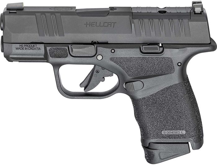 Springfield Armory Hellcat .380 ACP