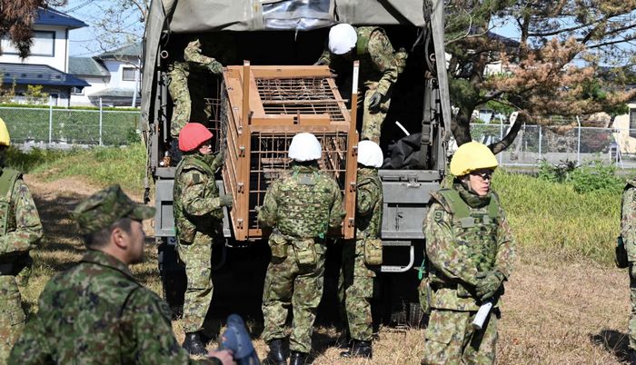 Японські військові з кліткою для ведмедів. Листопад 2025. Джерело: The Yomiuri Shimbun/AP