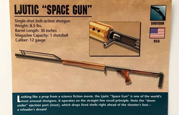 Ljutic Space Gun