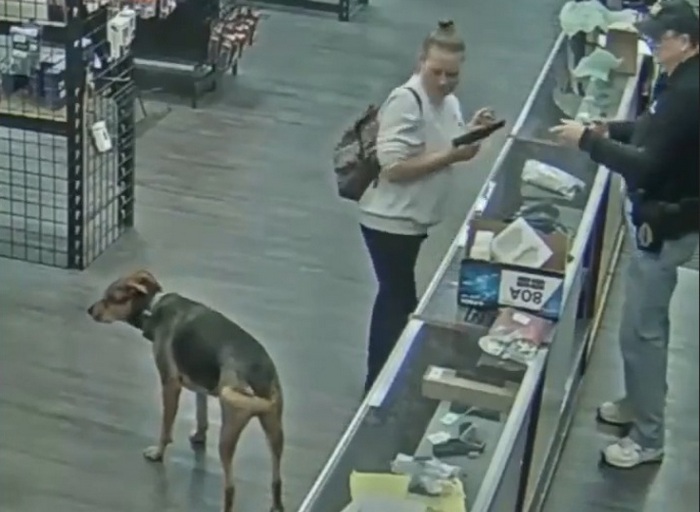 Кадр з відео