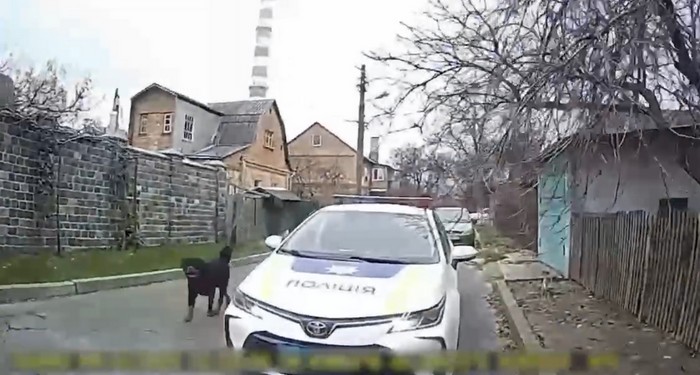 Кадр з відео