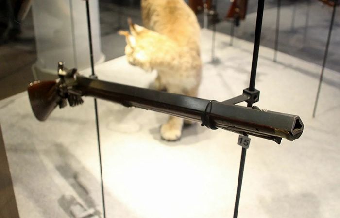 Мисливська рушниця з тригранною нарізкою