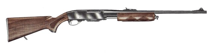 Remington 760 ADL Gamemaster