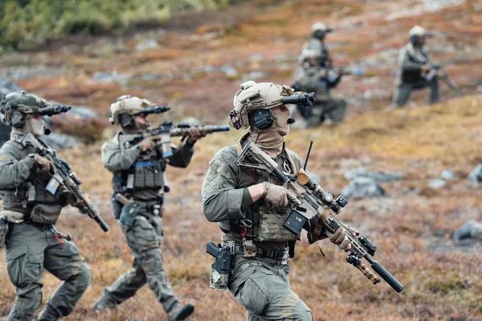 Данські водолази у дії