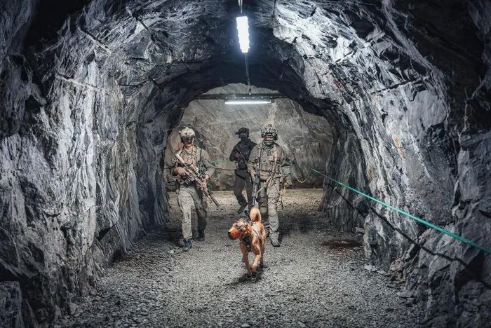 Данські водолази у дії