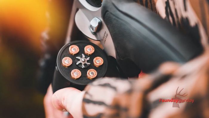 Taurus Raging Hunter .350 Legend