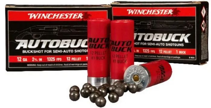 Winchester AutoBuck