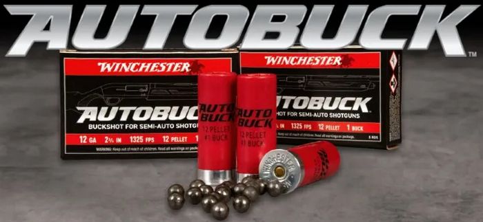 Winchester AutoBuck