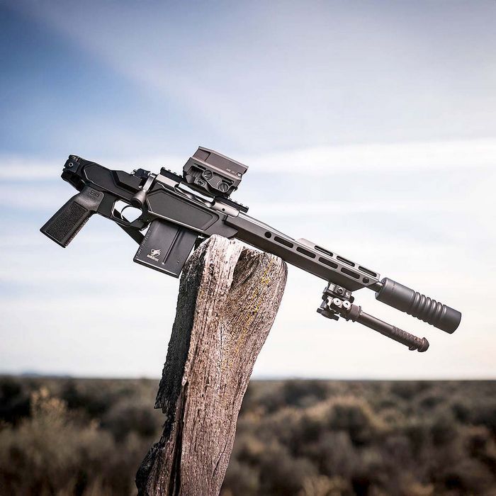Springfield Armory Model 2020 Heatseeker pistol
