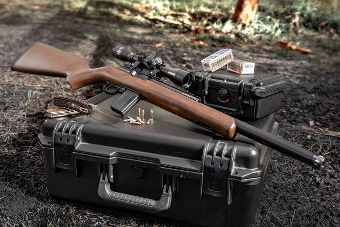 Chiappa Firearms M1-22 Bushranger