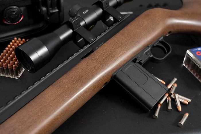 Chiappa Firearms M1-22 Bushranger