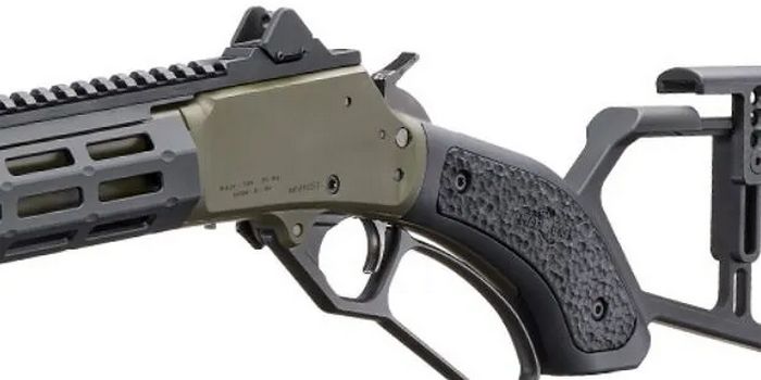 Mad Pig Customs Model 1894