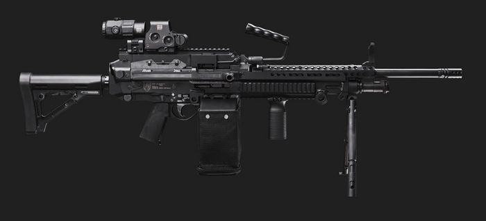  Кулемет PZD 762 компанії DSS