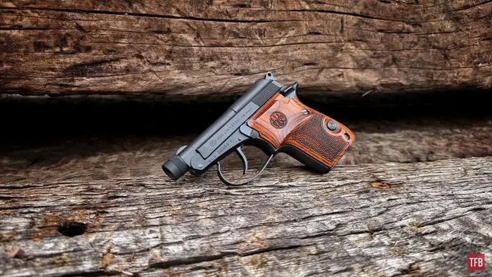 Beretta 21A Bobcat Covert