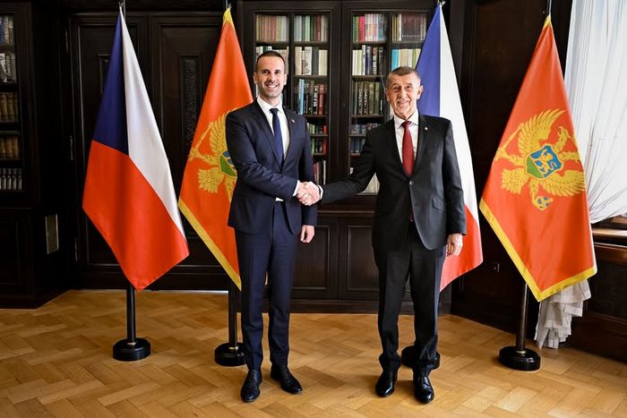  Представники урядів Чехії та Чорногорії. 24 липня 2026 року. Фото: Уряд Чехії