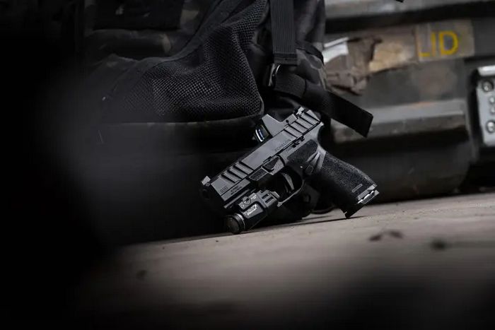 Springfield Echelon Alpha