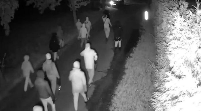 Кадр з відео